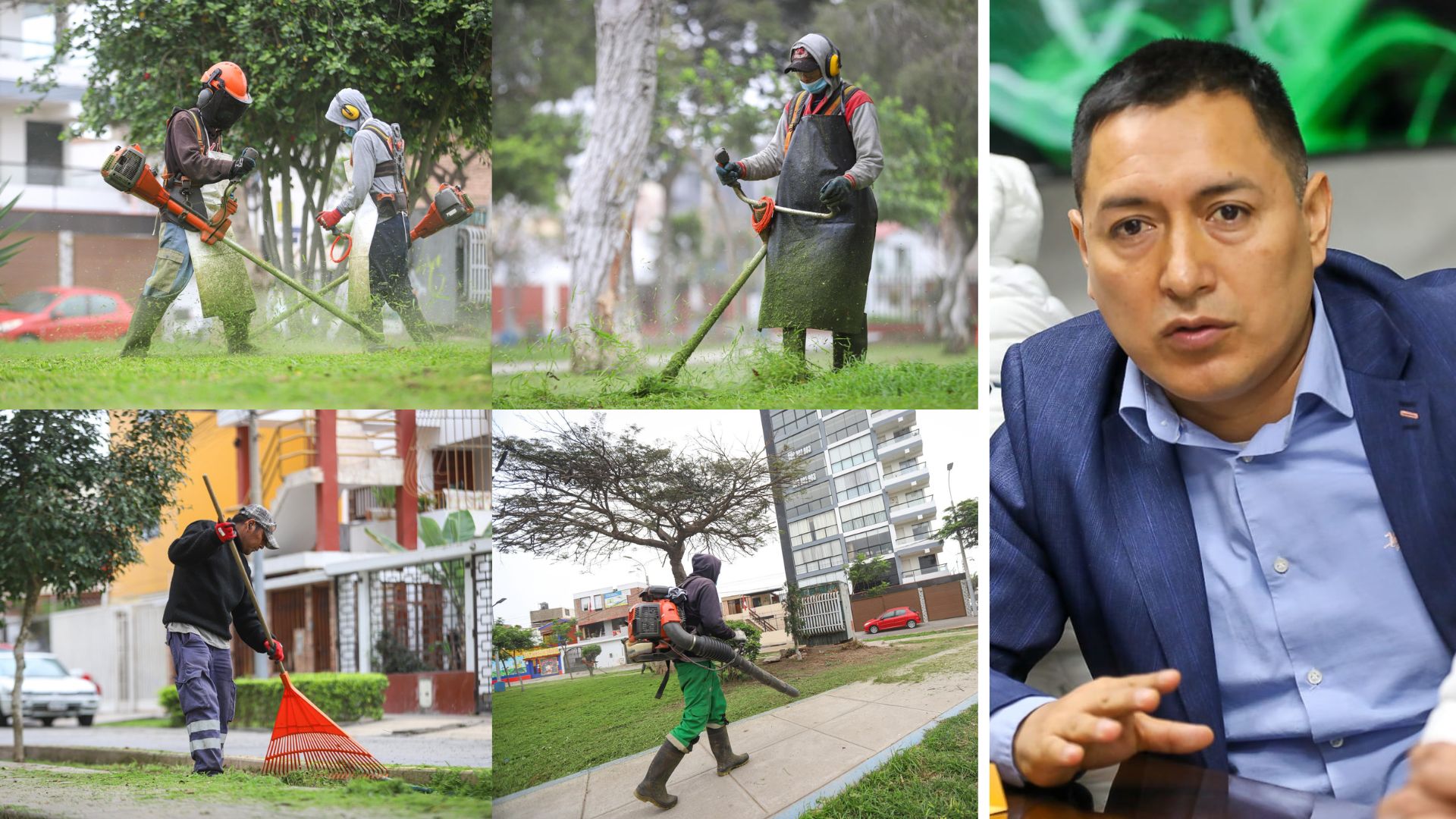 Municipalidad de Bellavista refuerza el embellecimiento de parques con trabajos de mantenimiento de áreas verdes