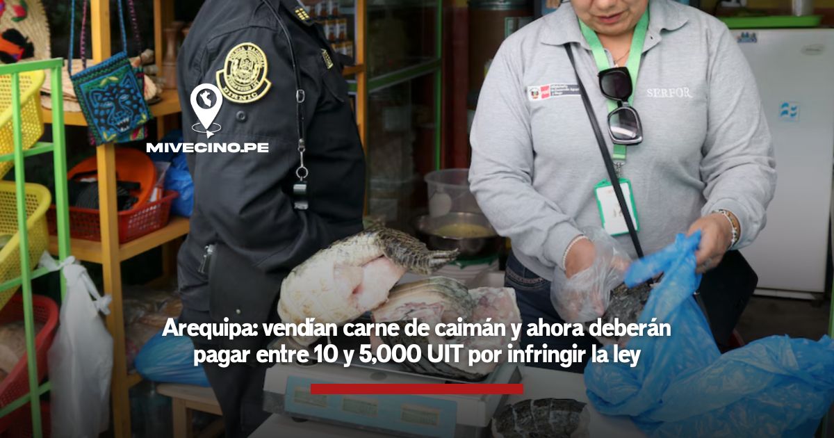 Arequipa: vendían carne de caimán y ahora deberán pagar entre 10 y 5,000 UIT por infringir la ley